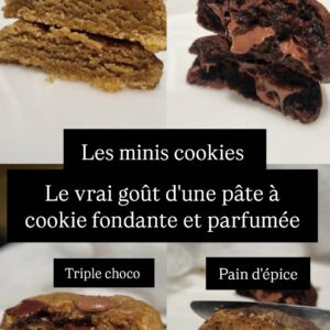 🎄❄️4 minis cookies inédits🎄❄️